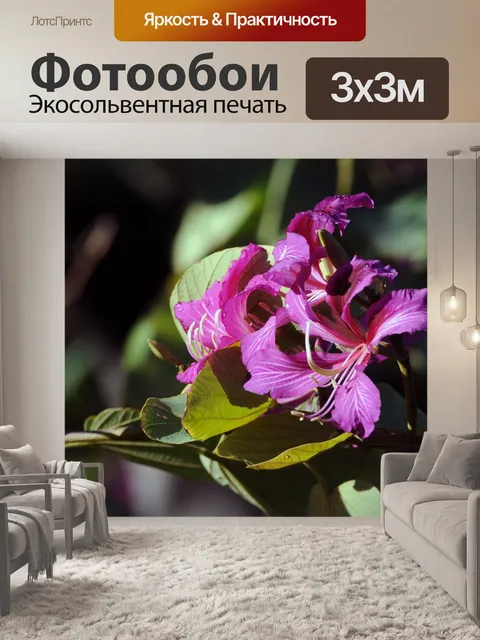 Фотообои Дождь Kissed фон цветы