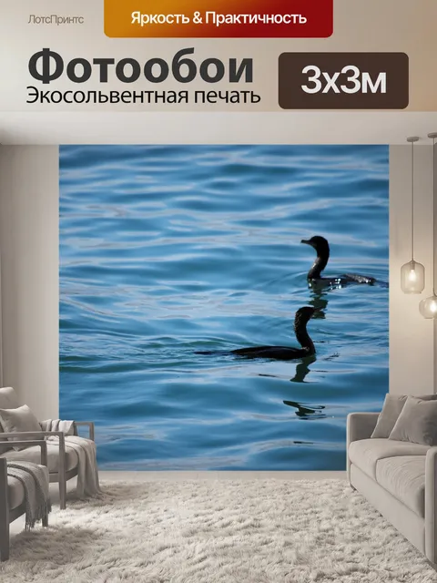 Фотообои Тело из воды