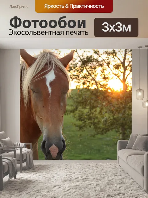 Фотообои Коричневый лошадь Закат