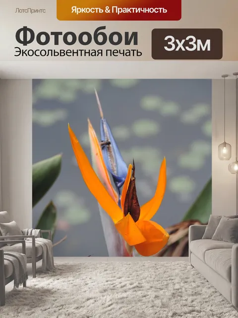 Фотообои Цветы