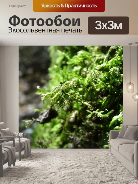 Фотообои Лес