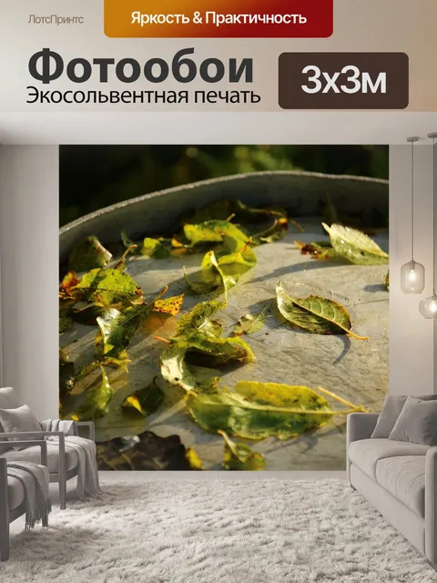 Фотообои Листья