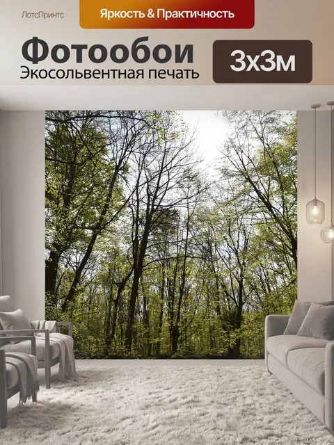 Фотообои Деревья