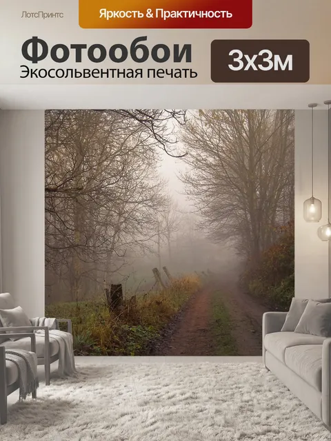Фотообои Путь