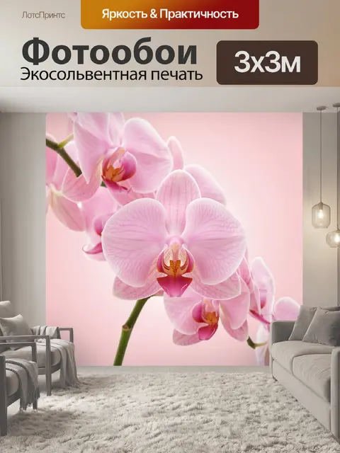 Фотообои Розовые орхидеи на нежном фоне