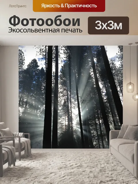 Фотообои Лучи