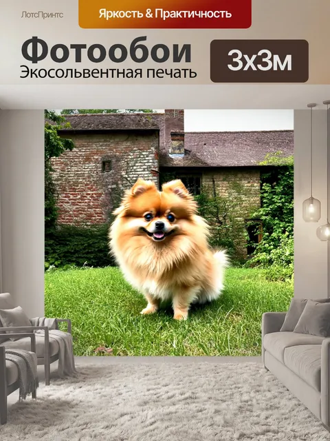 Фотообои промт: карликовый шпиц, позирующий на фоне старинного кирпичного дома, окруженного зелеными растениями