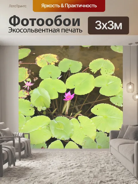 Фотообои лотоса листья и цветочные