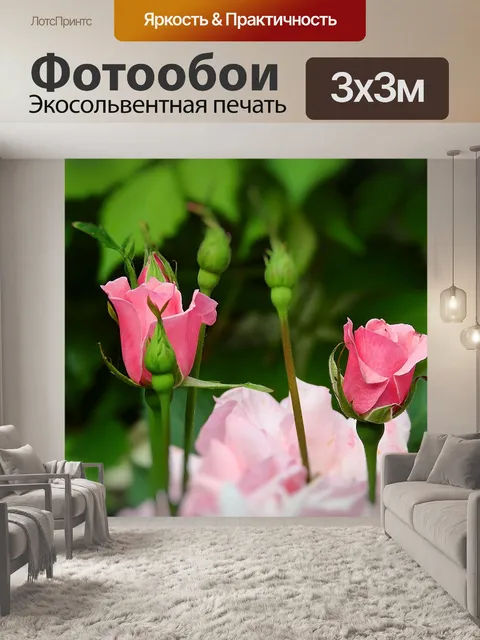 Фотообои Розы