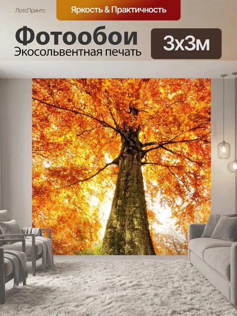 Фотообои Осеннее дерево