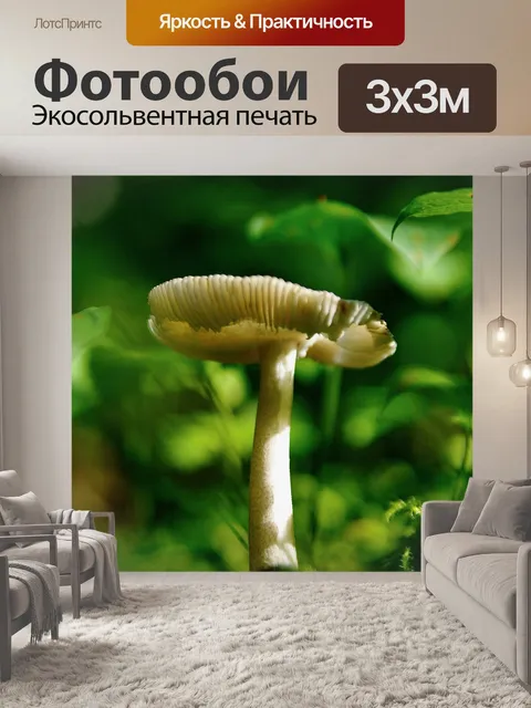 Фотообои Гриб