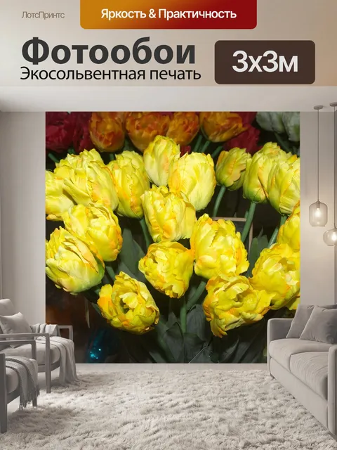 Фотообои Природа