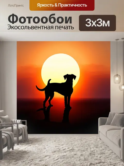 Фотообои силуэт эрдельтерьера на фоне заката, когда солнце опускается за горизонт и окутывает мир мягким светом