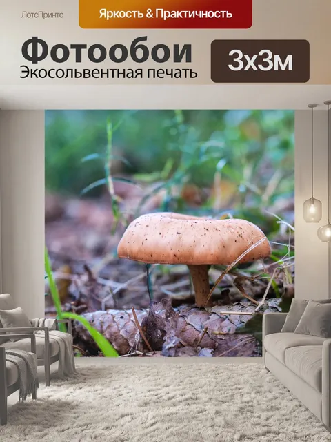 Фотообои Лес