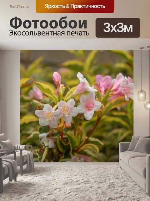 Фотообои Цветы 2