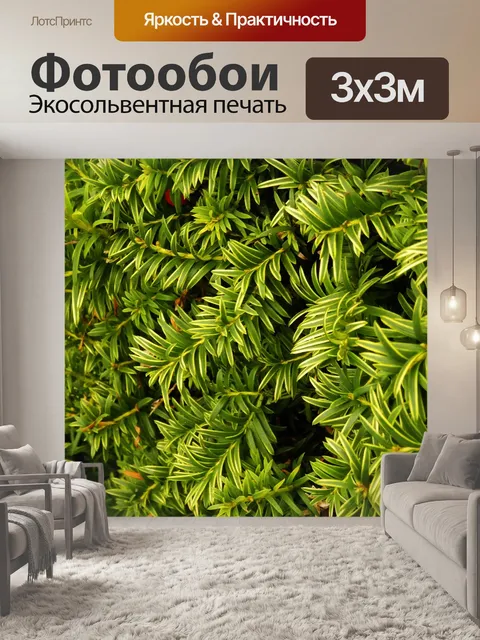 Фотообои Листья