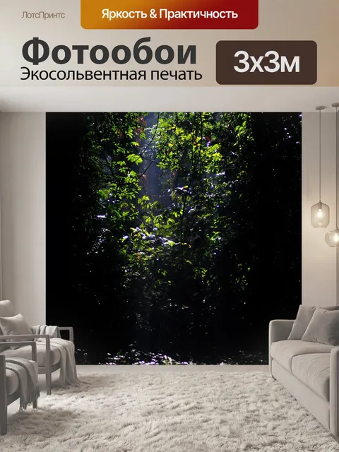 Фотообои Джунгли