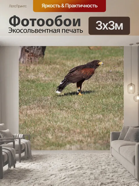Фотообои Дикие птицы