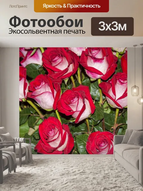 Фотообои Красные и белые розы