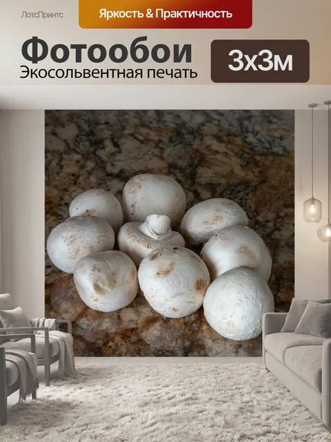 Фотообои Гриб