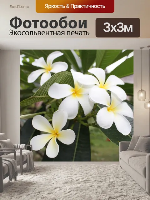 Фотообои Франжипани