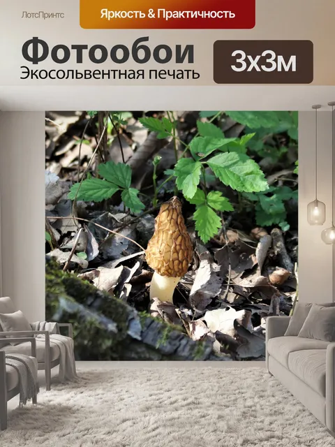 Фотообои Морель гриб в листьях