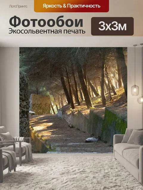 Фотообои Свет