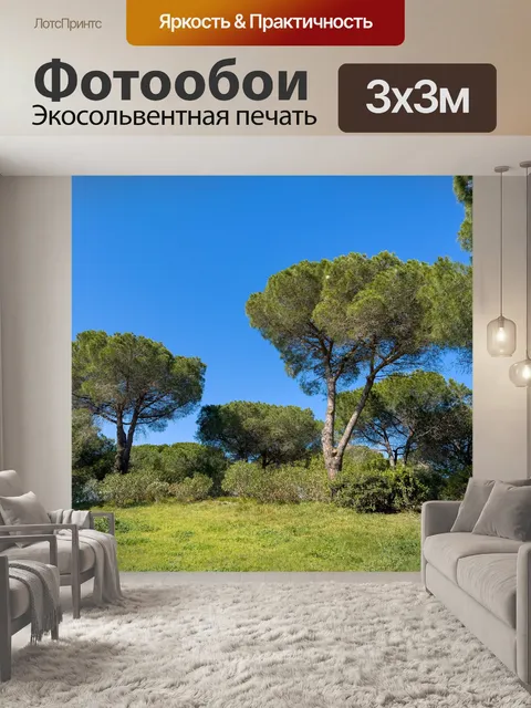 Фотообои сосны в парке