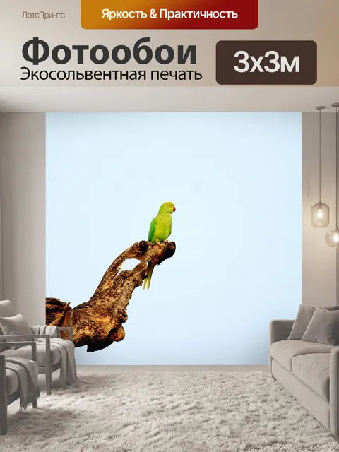 Фотообои Попугай
