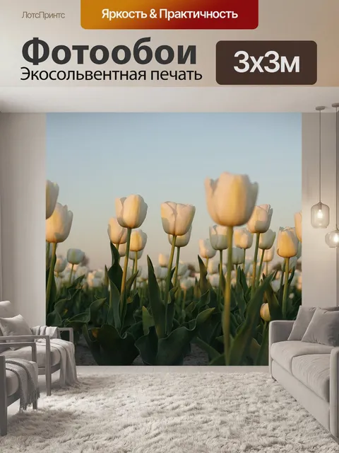Фотообои Тюльпаны