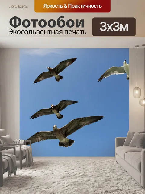 Фотообои Чайки
