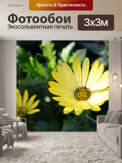 Фотообои Цветы