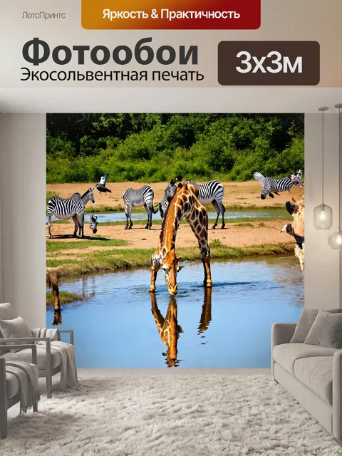 Фотообои жираф, пьющий воду из спокойной реки, порядка окружен зебрами, которые осторожно подходят к водопою