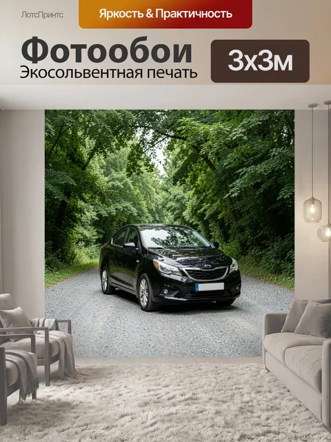Фотообои Черный седан на лесной дороге