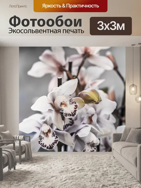 Фотообои Орхидеи