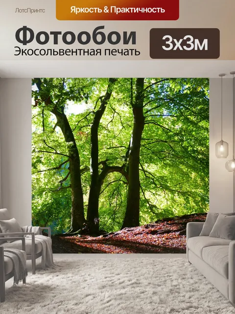 Фотообои Лес