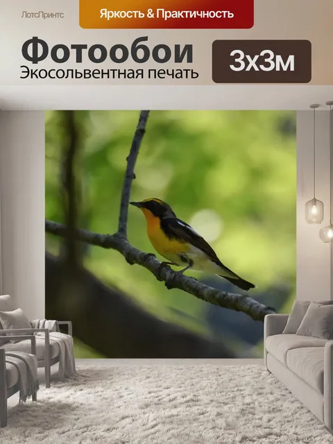 Фотообои Животное