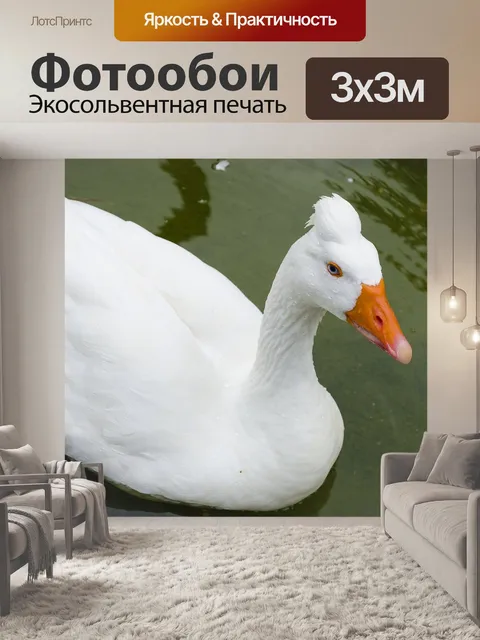Фотообои Животное
