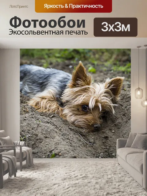 Фотообои Собака