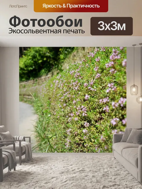 Фотообои Лес