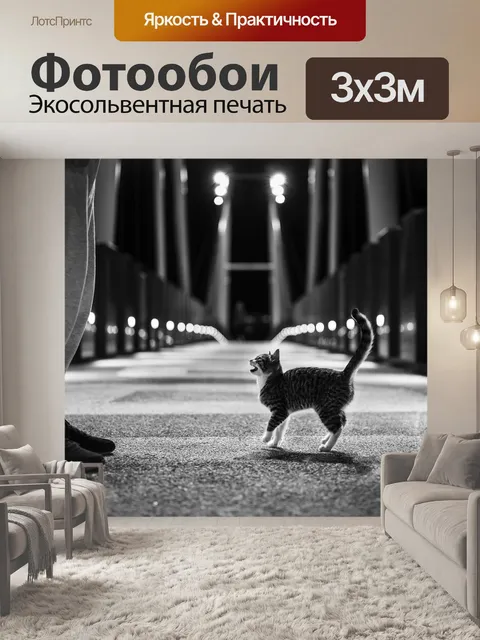 Фотообои Кошка