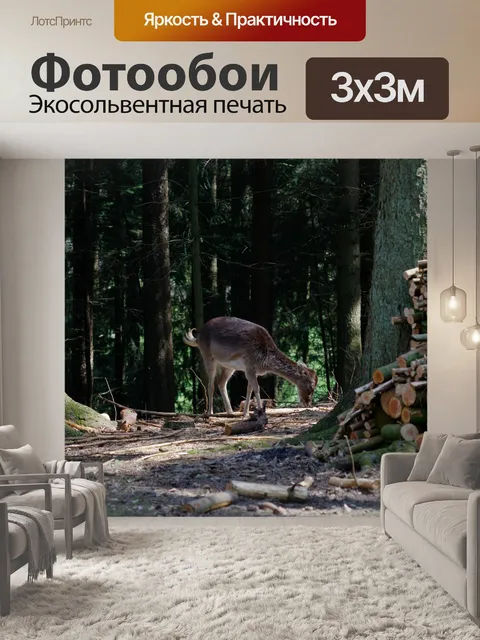 Фотообои Олень