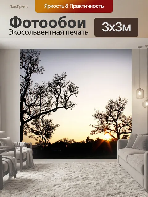 Фотообои Силуэт дерева в природе