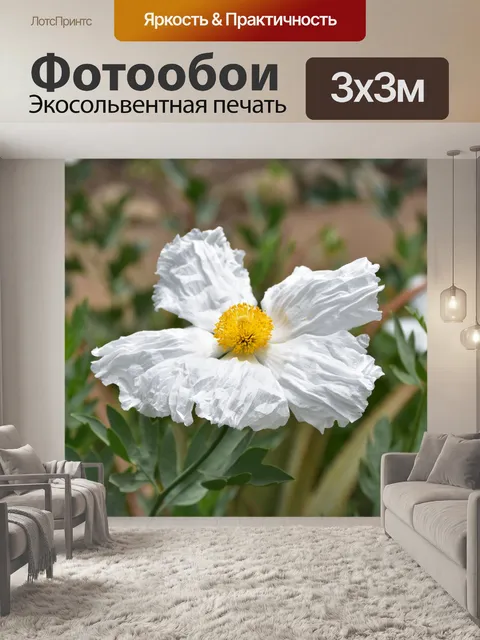 Фотообои матилия маки