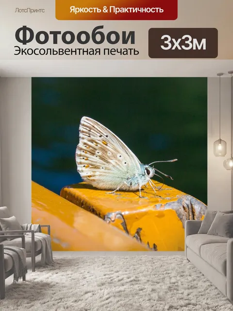 Фотообои Бабочка