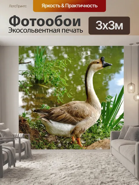 Фотообои Гусь