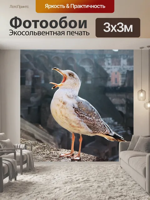 Фотообои Птица