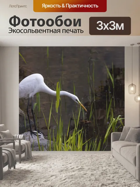 Фотообои Цапля