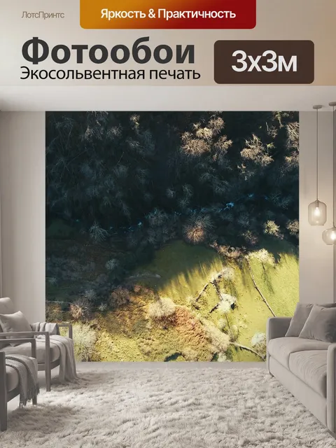 Фотообои Дрон