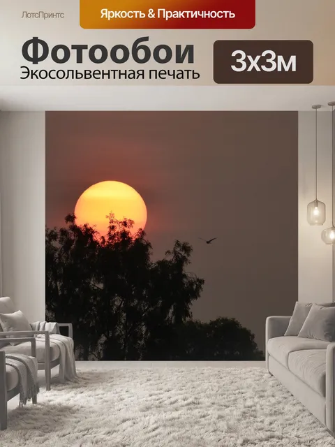 Фотообои Птица